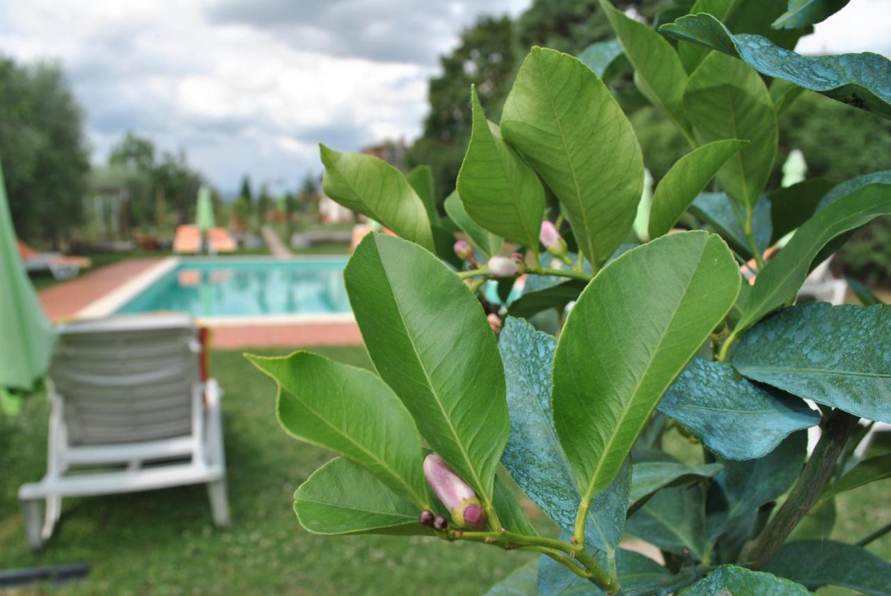 Agriturismo La Nicchia كاستيلْنْوافو بيراردين المظهر الخارجي الصورة